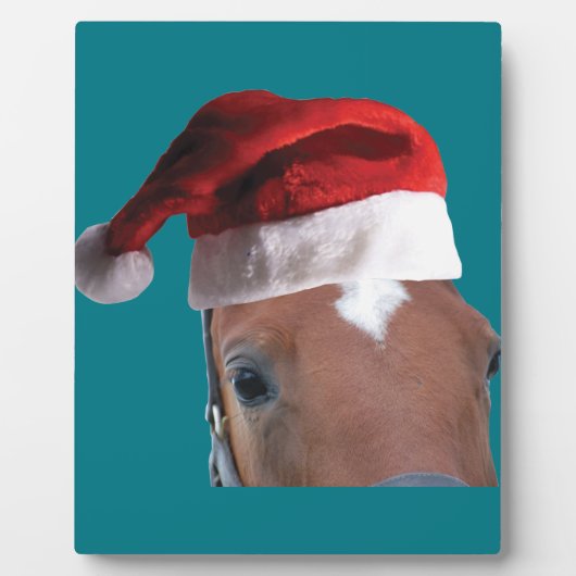 kerstpaard fotoplaat (Voorkant)