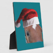 kerstpaard fotoplaat (Zijkant)