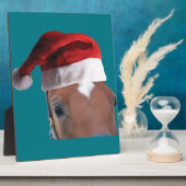 kerstpaard fotoplaat (Zijkant)