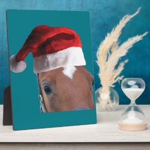 kerstpaard fotoplaat