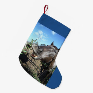 Kerstpaard met grappig gezicht kleine kerstsok