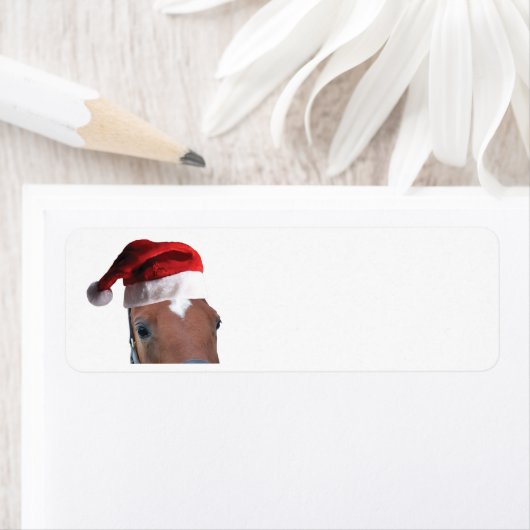 kerstpaard met Pet van de kerstman Etiket (Insitu)