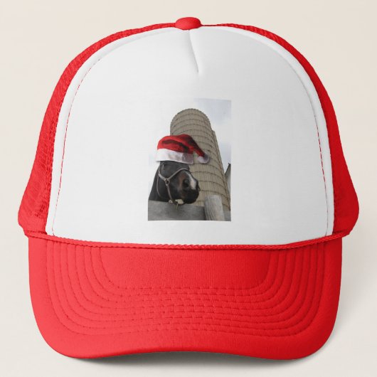 kerstpaard trucker pet (Voorkant)