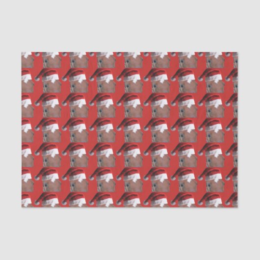 kerstpaard voor kerstmis tissuepapier (Voorkant)