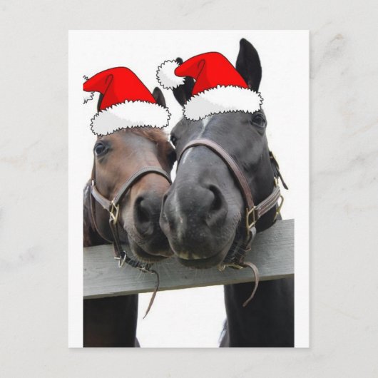 kerstpaarden feestdagenkaart (Voorkant)