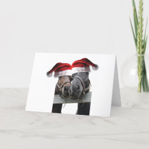 Kerstpaarden met kerstmantels feestdagen kaart