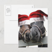 Kerstpaarden met kerstmantels feestdagenkaart (Voorkant / Achterkant)