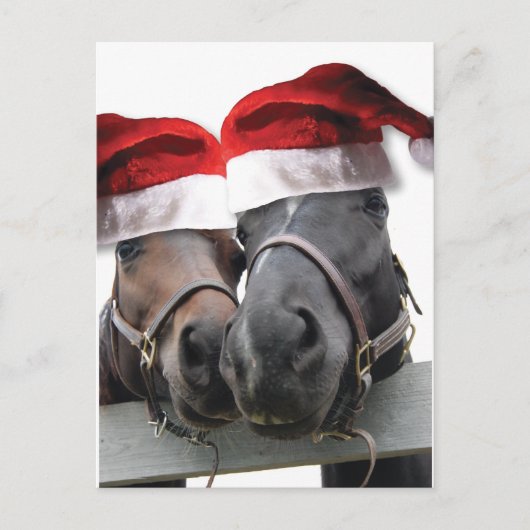 Kerstpaarden met kerstmantels feestdagenkaart (Voorkant)