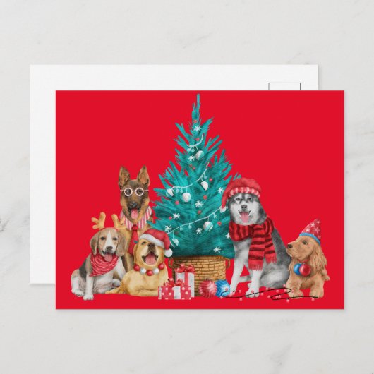 Kerstpak van honden onder het briefkaart (Voorkant / Achterkant)