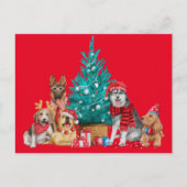 Kerstpak van honden onder het briefkaart (Voorkant)