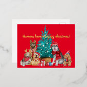 Kerstpak van honden onder het briefkaart (Voorkant / Achterkant)