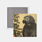 Kerstpapegaai Magnet (Voorkant / Achterkant)