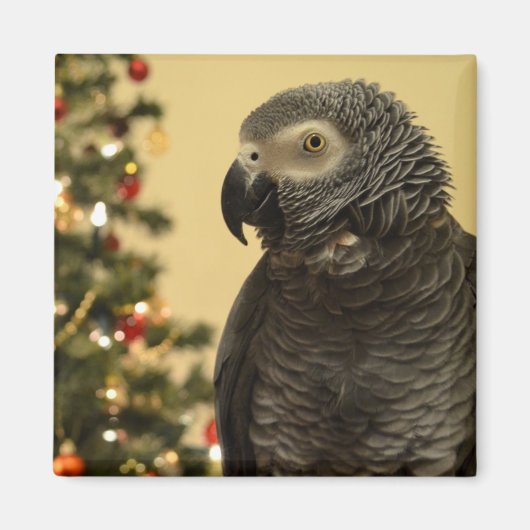 Kerstpapegaai Magnet (Voorkant)
