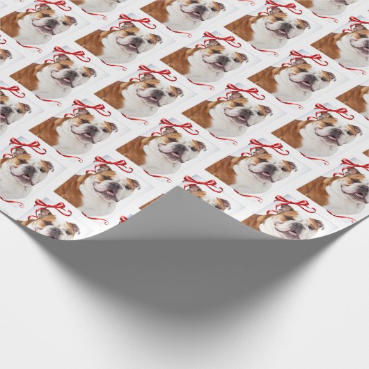 kerstpapier met bulletshandel cadeaupapier (Hoek)