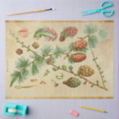 kerstpapier tissuepapier (Craft)