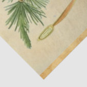 kerstpapier tissuepapier (Detail)