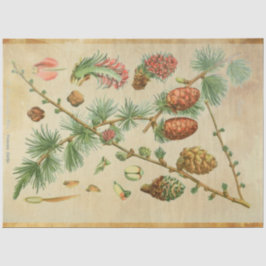 kerstpapier tissuepapier