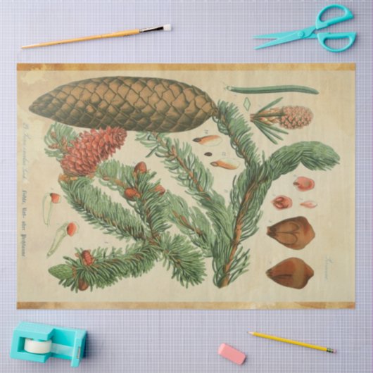 kerstpapier tissuepapier (Craft)