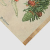 kerstpapier tissuepapier (Detail)