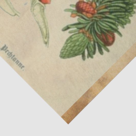 kerstpapier tissuepapier (Detail)