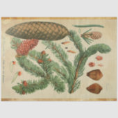 kerstpapier tissuepapier (Voorkant)