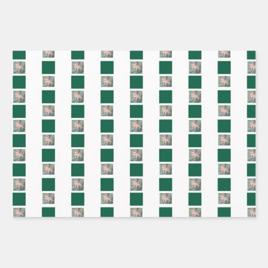 kerstpapier voor Katten Inpakpapier Vel (Voorkant 2)