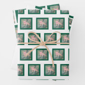 kerstpapier voor Katten Inpakpapier Vel (In situ)