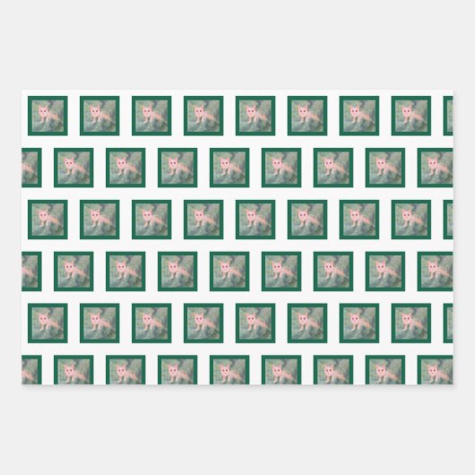 kerstpapier voor Katten Inpakpapier Vel (Voorkant)