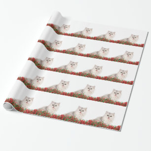 Kerstperzische kat cadeaupapier
