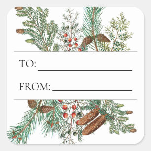 Kerstpine Conifer Forest Festive Evergreen Vierkante Sticker