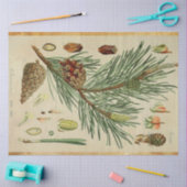 Kerstpine-ontkoppelingstok Tissuepapier (Craft)