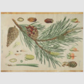 Kerstpine-ontkoppelingstok Tissuepapier (Voorkant)