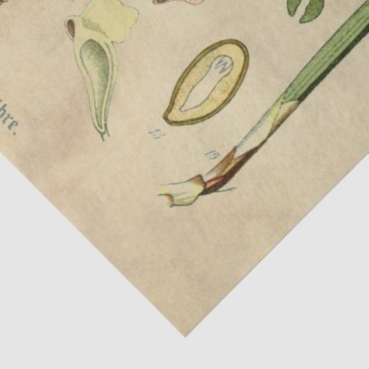 Kerstpine-ontkoppelingstok Tissuepapier (Detail)