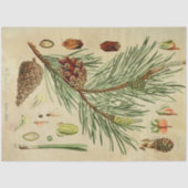 Kerstpine-ontkoppelingstok Tissuepapier (Voorkant)