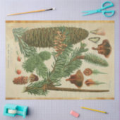 Kerstpine-ontkoppelingstok Tissuepapier (Craft)