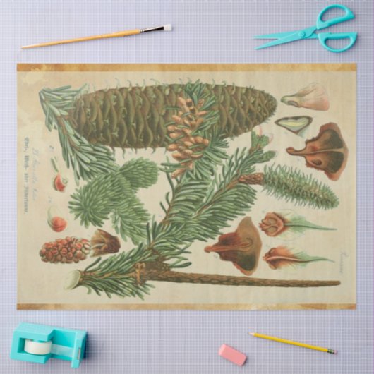 Kerstpine-ontkoppelingstok Tissuepapier (Craft)