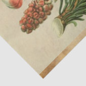 Kerstpine-ontkoppelingstok Tissuepapier (Detail)