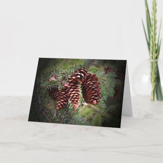 KerstPinecone Arrangement Prettige feestdagen kaar (Voorkant)