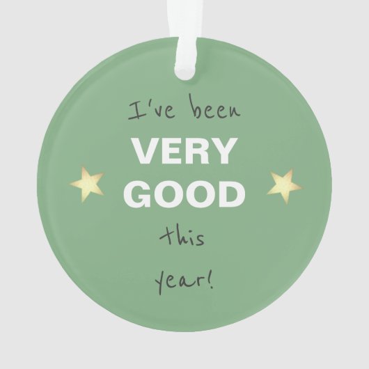 Kerstpinguïn Santa stop hier groen Ornament (achterkant)