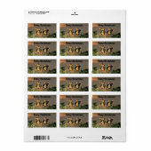 Kerstpinguïns Etiket (Full Sheet)