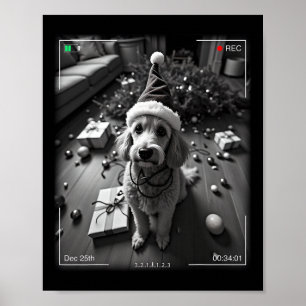 Kerstpoedel op camera vastgelegd poster