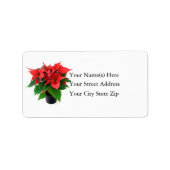 Kerstpoinsettia Adres label (Voorkant)