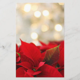 Kerstpoinsettia Briefpapier
