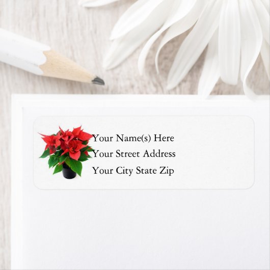 Kerstpoinsettia Etiket (Insitu)