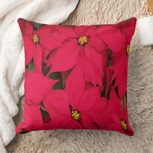 Kerstpoinsettia Kussen (Deken)