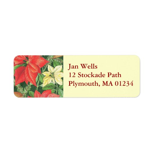 Kerstpoinsettia Retouradreslabel Etiket (Voorkant)
