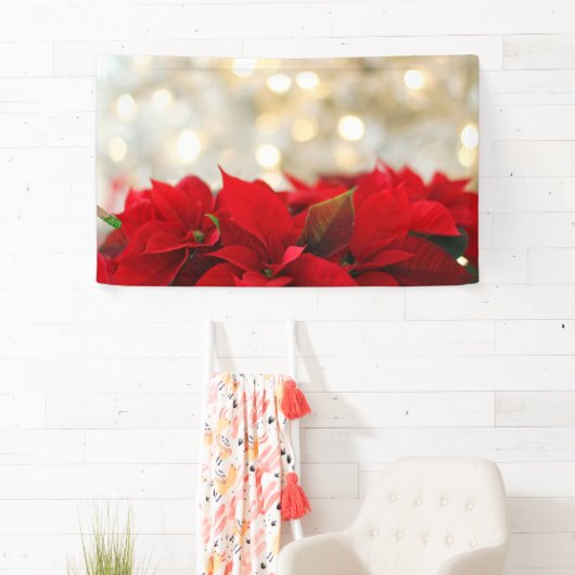 Kerstpoinsettia Spandoek (Insitu)