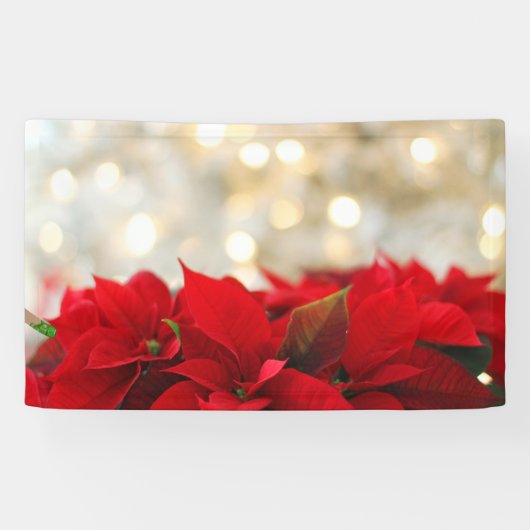 Kerstpoinsettia Spandoek (Horizontaal)