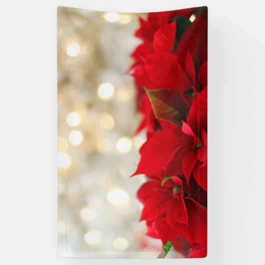 Kerstpoinsettia Spandoek (Verticaal)