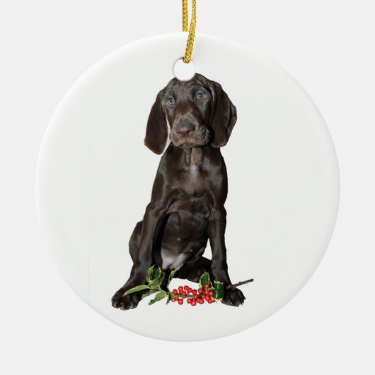 kerstpointer Puppy Keramisch Ornament (Voorkant)